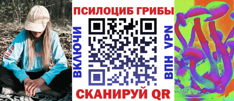 ОМГ ОМГ сайт  Пугачёв  Псилоцибиновые грибы Psilocybine cubensis 